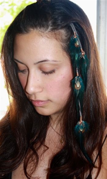 Feather Extensions Clip 2